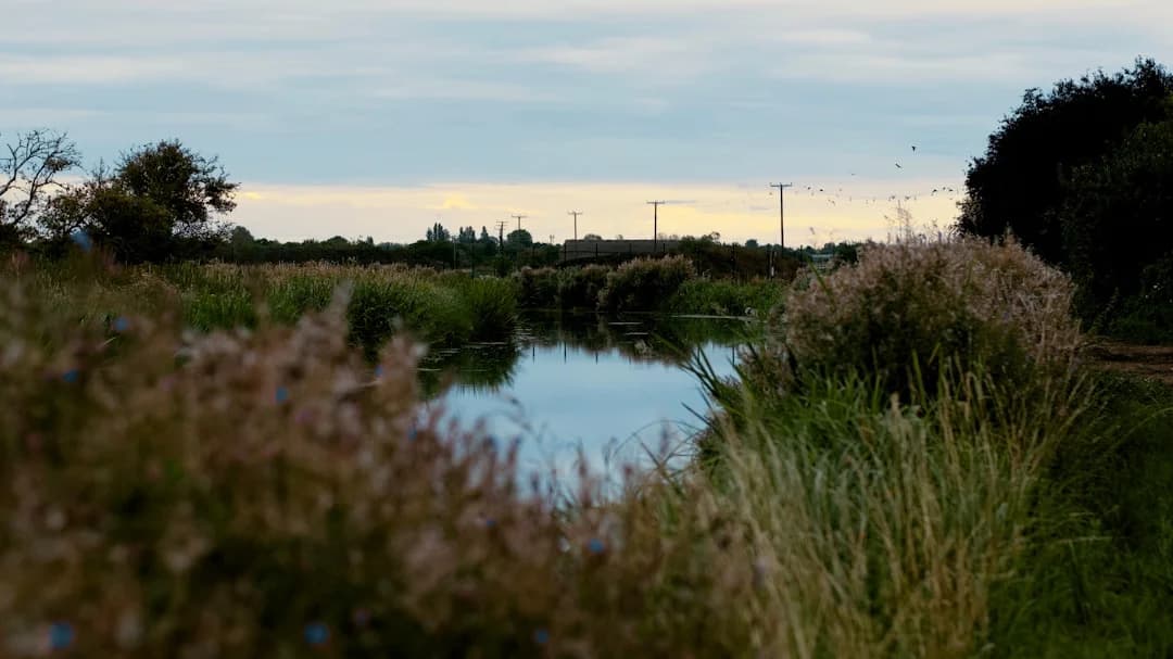 Chalk Stream Cambridge 2026 Urban Water Management Update