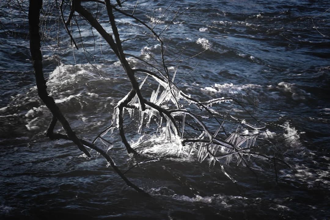 Cover Image for Living Water: Poetry, Art and the Fight for Clean Rivers