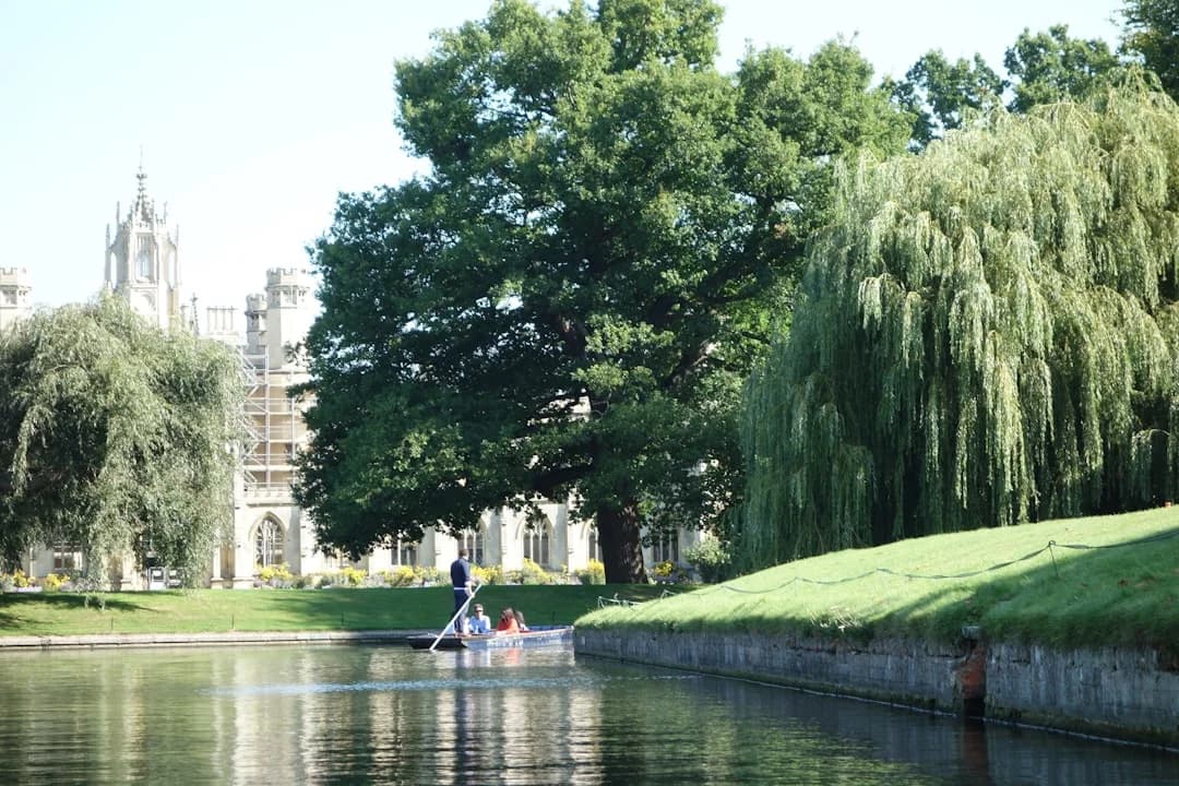 Cover Image for Cambridge Folk Festival 2026 revamp: City-wide plan unveiled
