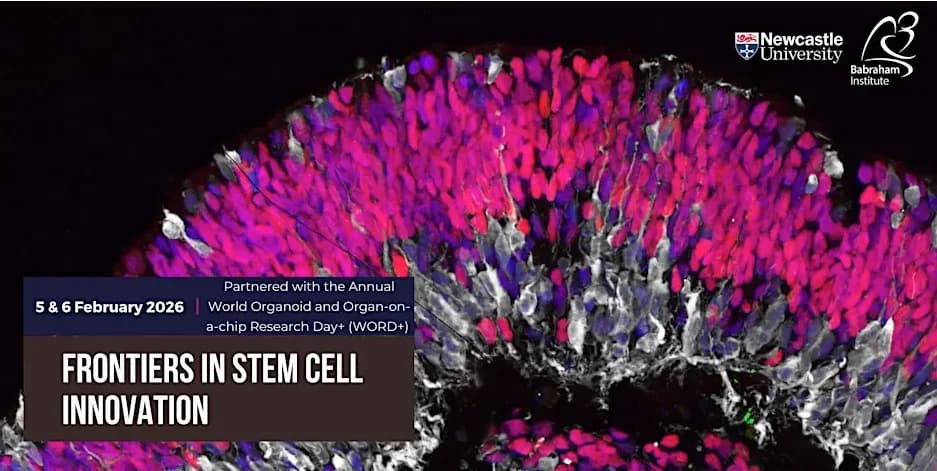 Cover Image for Frontiers in Stem Cell Innovation 2026 Cambridge Recap