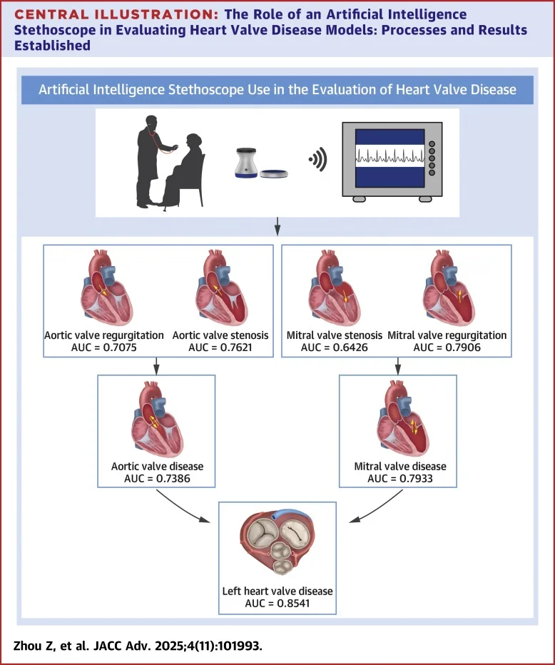 Cover Image for AI stethoscope heart valve disease detection Case Study